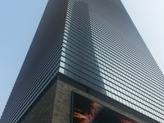 -上海柏悦酒店