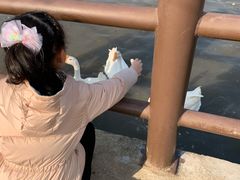 -鹅湖玫瑰文化园