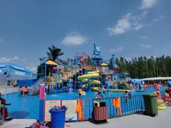 -海盗传奇水世界