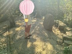 -上海佘山国家森林公园天马山园