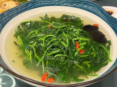 上汤西洋菜-北园酒家(小北路店)