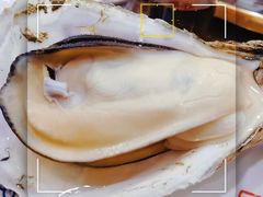 桑拿蚝-蚝专家(北滘店)