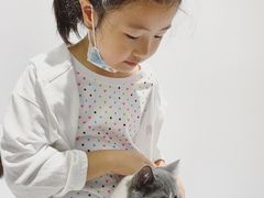 -COLOR PETS 撸猫馆·购猫·猫咖(长风大悦城店)