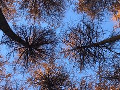 -硗碛藏寨·神木垒景区