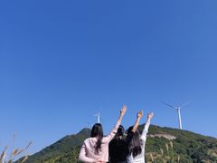 -盐洲岛