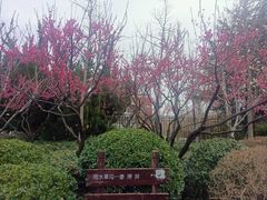 -山东外贸职业学院