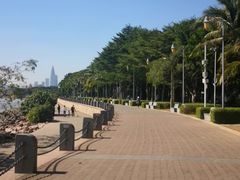 -深圳湾公园(南山区)