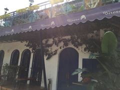 -Sirena海妖日咖夜酒