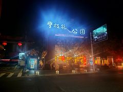 -攀枝花公园