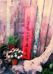 -salon漫