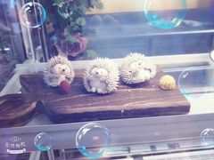 -杜哈夫DOUX RÊVE·生日蛋糕(日月光店)