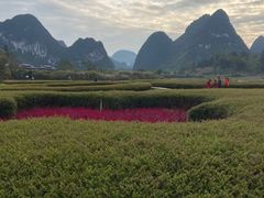 -靖西鹅泉风景区