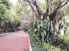 -南宁南湖公园