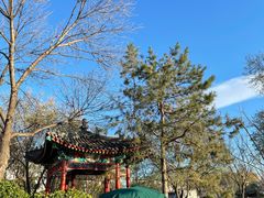 -北京稻香村(零号店)