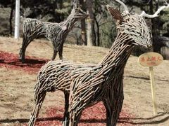 -北京西山国家森林公园