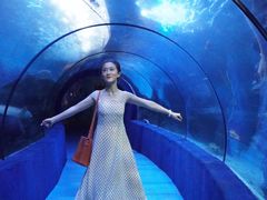 -左海海底世界