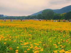 -长广溪湿地公园