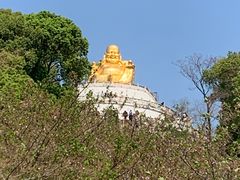 -苏州上方山国家森林公园