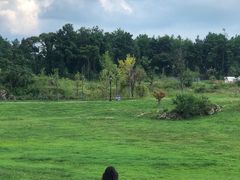 -云漫湖生态度假公园