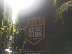 -梭布垭石林景区