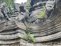 -梭布垭石林景区