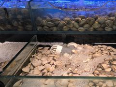 -苏格里岛自助烤肉海鲜火锅(成都金牛万达店)