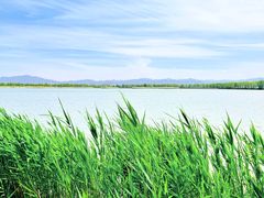 -野鸭湖国家湿地公园