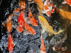 -上海大自然野生昆虫馆(东方明珠·爬宠昆虫探索中心)