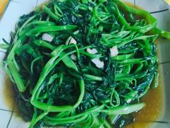 -大班家政月嫂育儿嫂(深圳NO.1店)