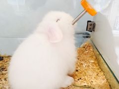 -易生活购物公园