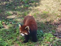 -常州淹城野生动物世界
