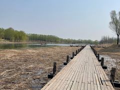 -马家湾湿地公园