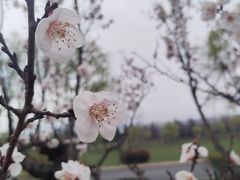 -洨河生态公园