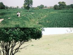 -良渚古城遗址公园