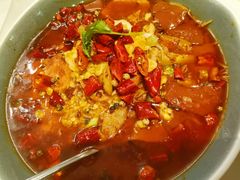 重庆毛血旺-港丽餐厅(高德置地店)