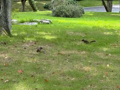 -浙江西子宾馆·瑶园咖啡厅