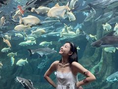 -哈尔滨波塞冬海底世界