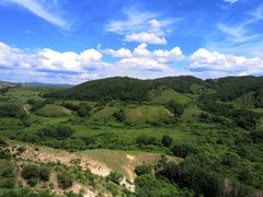 -塞罕坝国家级自然保护区