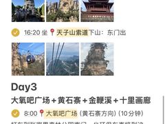 -富正毅三下锅·湘西韵味(天门山索道店)