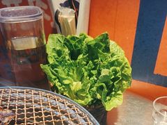 -入火韩国烤肉(凯旋广场店)