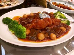 -诺莱仕游艇会