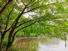 -嘉定紫藤园