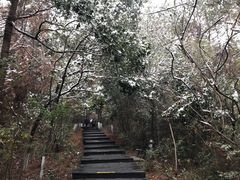 -天目湖山水园