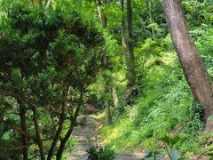 -严子陵钓台(富春江小三峡)