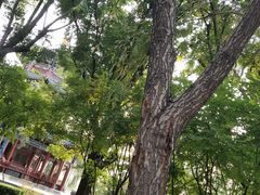 -迎泽公园