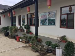 -呼吸森林·生态农庄农家乐私房菜