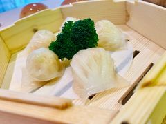 宝园虾饺皇-宝园酒家(美林M·LIVE天地东座店)