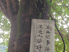 -南山植物园