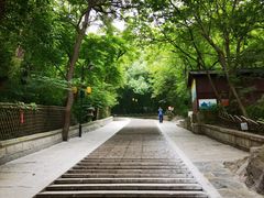 -灵岩山风景区