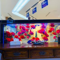 -苏州卫康美容医院